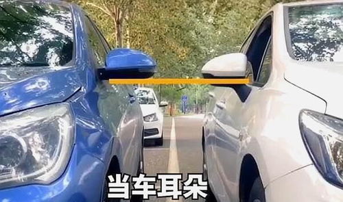 轻松掌握车辆身份