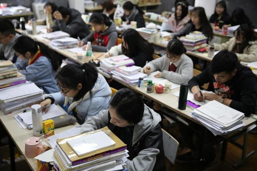孩子在校吃饭花费引热议，如何平衡家庭负担与教育投入？