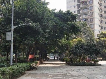 打造温馨家园的全方位指南