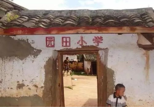 父亲与棒棒，艰辛攒房记