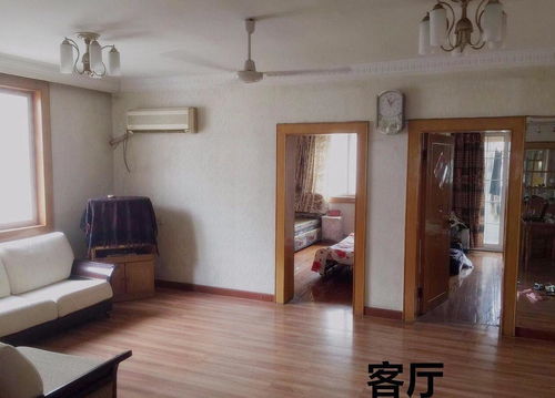 大雪后东北小孩的三室一厅发现