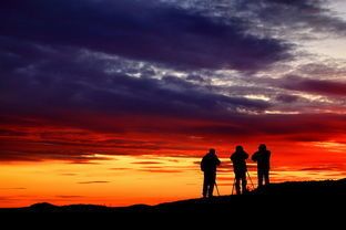 让梦想安家的温暖选择