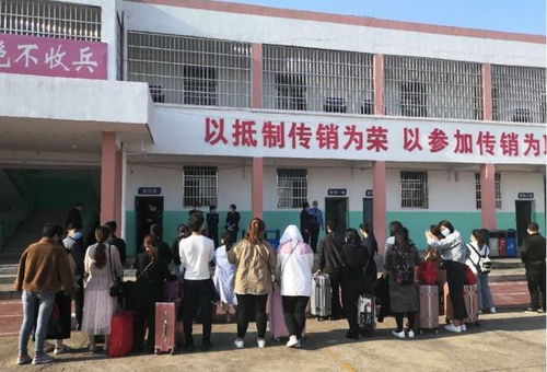 广西来宾传销的现状与防治