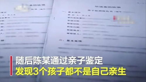 亲子鉴定要多少钱？全面解析与实用指南