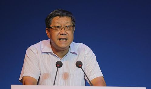 唐双宁，金融巨子的陨落