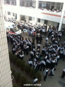 苏州学校学生跳楼事件背后的真相