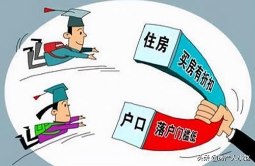 深入解读最新监理取费标准，政策、实践与未来趋势