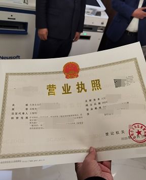 轻松搞定天津营业执照，全流程详解与实用建议