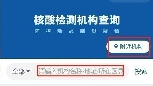 轻松掌握网上自助办理身份证的全流程与注意事项