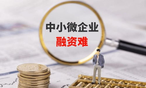 助力企业发展与个人融资的可靠伙伴