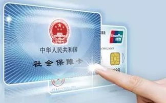 厦门社会保障卡查询全攻略，便捷服务与注意事项