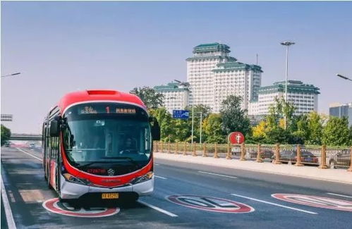 沈阳公交车冲站台事件的背后，安全与管理的深度剖析