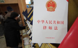 宝山刑事律师，守护正义，维护权益