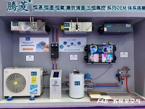 连锁销售网，现代商业的强大力量与机遇