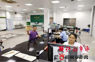 便捷高效的交通管理服务