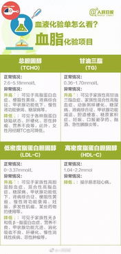 出入境体检中心在哪里？全面指南与实用建议