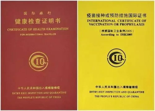 出入境体检中心在哪里？全面指南与实用建议