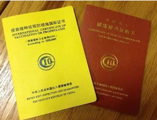 出入境体检中心在哪里？全面指南与实用建议