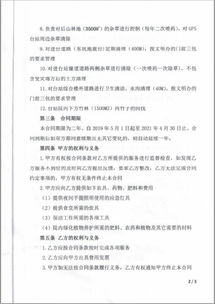 物业管理合同全解析，确保业主与物业公司的双赢