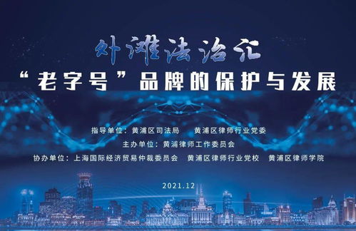 上海经济律师，守护您商业旅程的得力伙伴