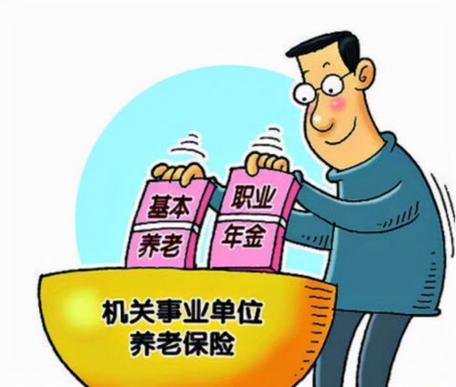 最低养老金标准，保障老年人生活的关键政策