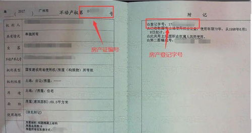 轻松掌握房产证信息，网上查询的便捷与重要性