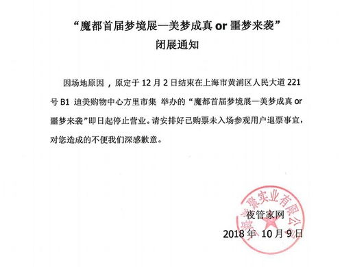 解读单身证明范本，如何轻松办理并应对实际生活中的应用