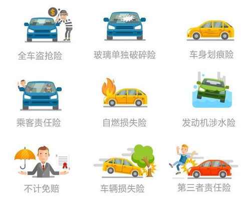 全面解析汽车保险种类，助您轻松选择最合适的保障