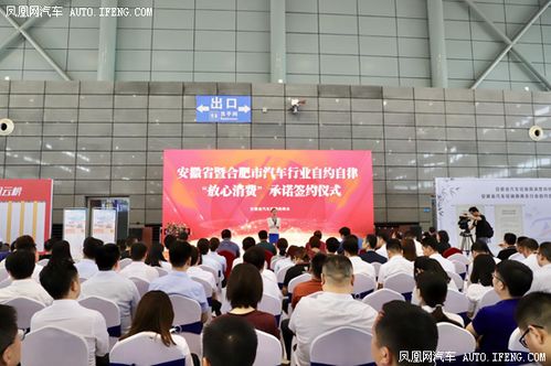 巢湖市工商局，守护市场秩序，促进经济繁荣