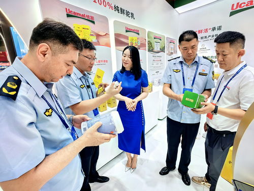 保障交易安全与市场秩序的关键
