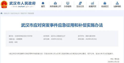 公共突发事件应对指南，全面解析与实用策略