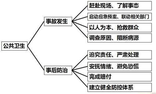 公共突发事件应对指南，全面解析与实用策略