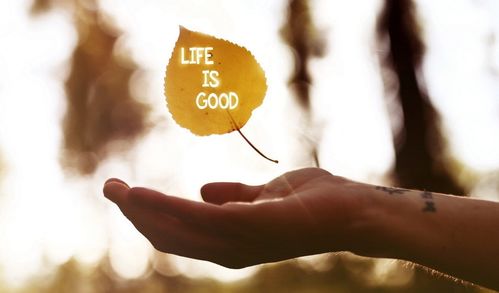 一次意外的深度自我审视