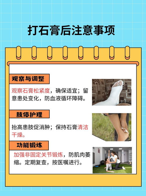 全面解析与实用建议