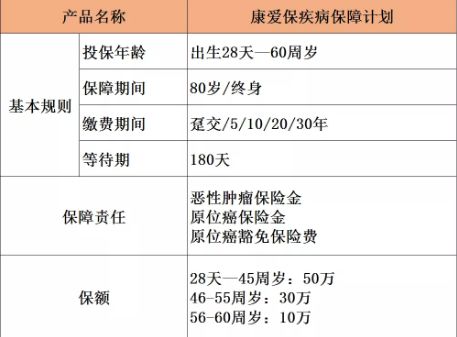 解读养老保险缴纳比例，为未来生活保驾护航