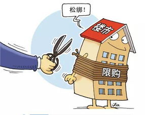 大连房产抵押贷款全解析，如何明智选择与高效利用