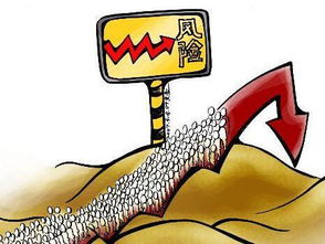机遇与风险并存，需谨慎考量