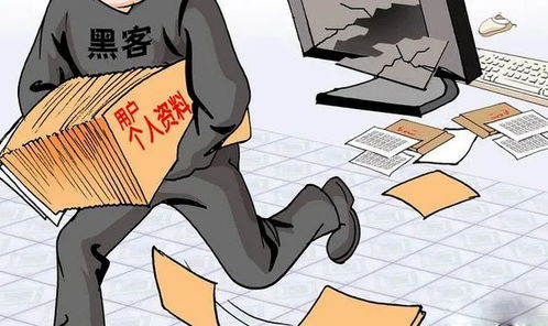 个人信息买卖的阴影，网络时代的隐私危机与应对策略