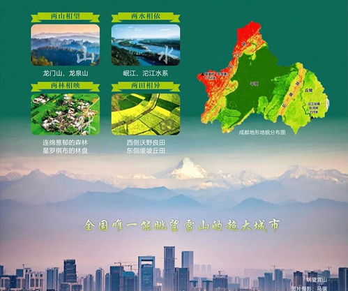 深入解读深圳国土资源局，守护城市未来的绿色卫士