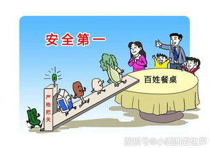 解读食品安全管理条例，保障餐桌安全的法律基石