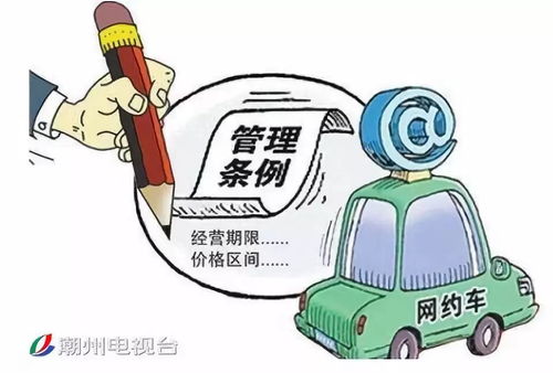 网约车双证，开启合法合规运营的关键步骤