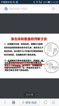 原则是什么意思？理解其内涵与应用