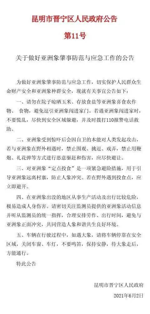 政策解读与家庭应对指南