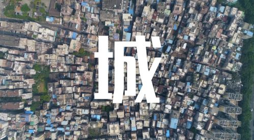 武汉城中村的变迁与未来，探索城市化进程中的人文记忆与社会创新