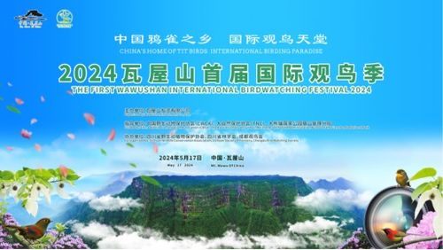 五年来首个中国旅行团赴朝，开启新的篇章