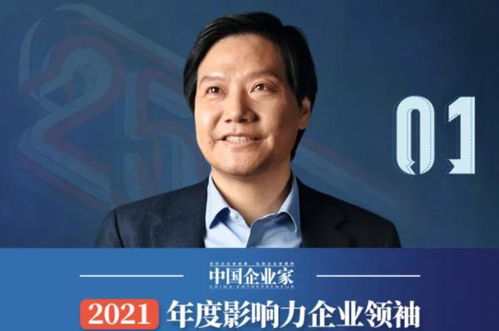 王传福与雷军，企业家在新闻联播的亮相背后的故事