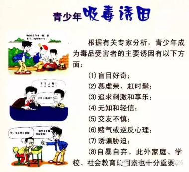 根治毒害，守护未来——禁毒治本之策的深度解析