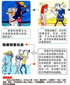 根治毒害，守护未来——禁毒治本之策的深度解析