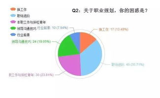 开启职业发展新路径的抉择
