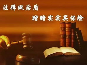沈阳刑事律师，守护正义的法律卫士
